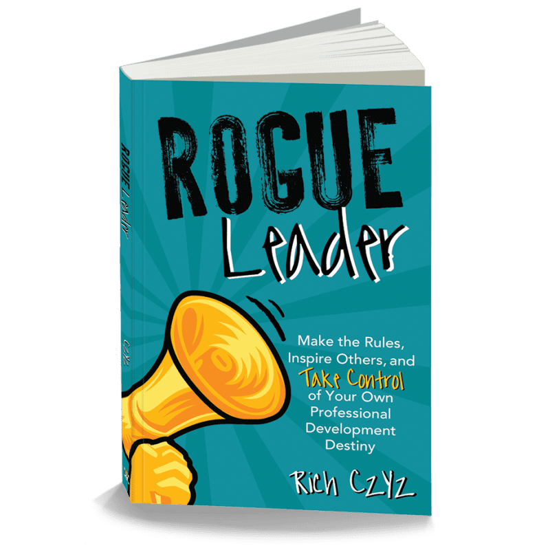 Rogue Leader